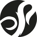 Shot image