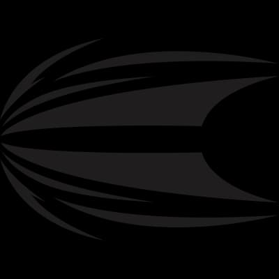 Target Dart Flights